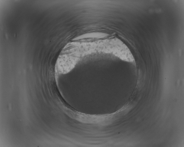 X0000080730048200701121922