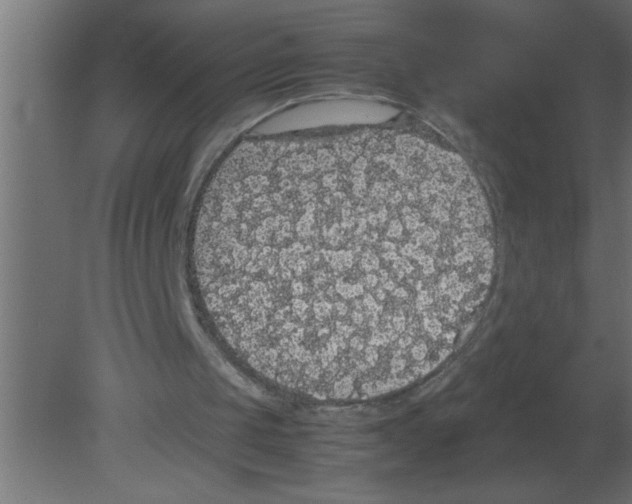 X0000080730049200701121921