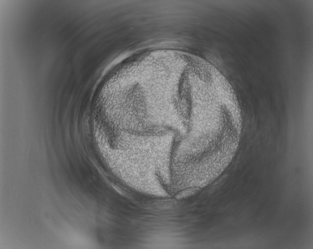 X0000080730050200701121921