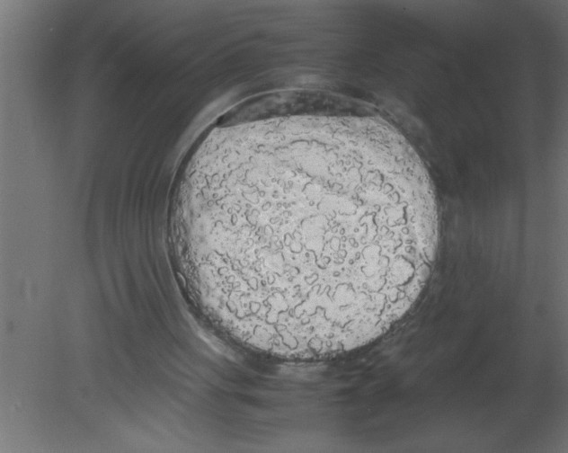 X0000080730051200701121921