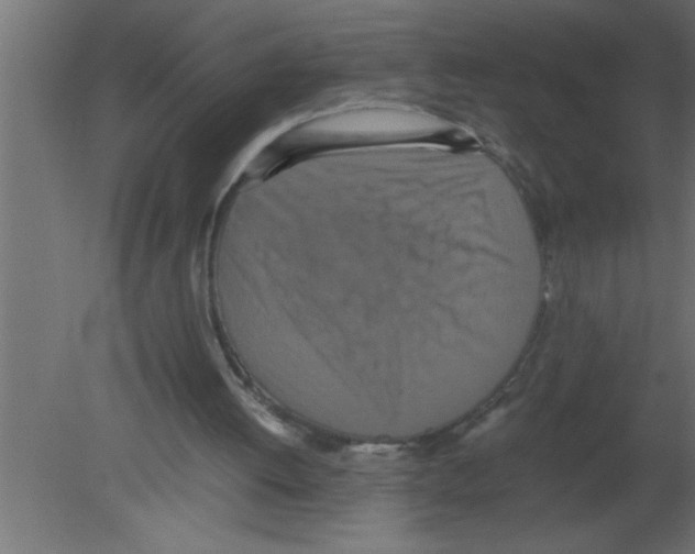 X0000080730052200701121921