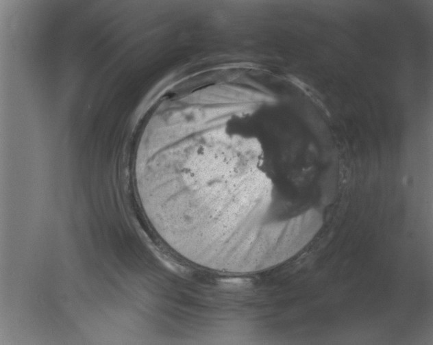 X0000080730053200701121921