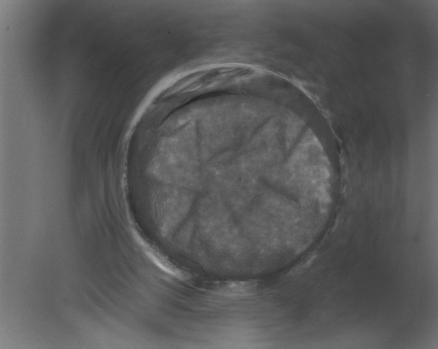 X0000080730056200701121921