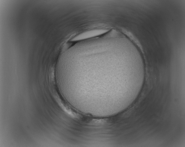 X0000080730057200701121921