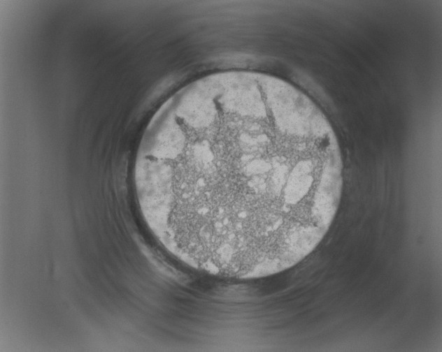 X0000080730058200701121921