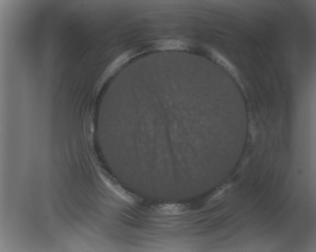 X0000080730059200701121921