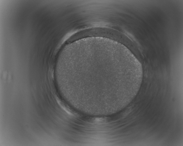 X0000080730060200701121921