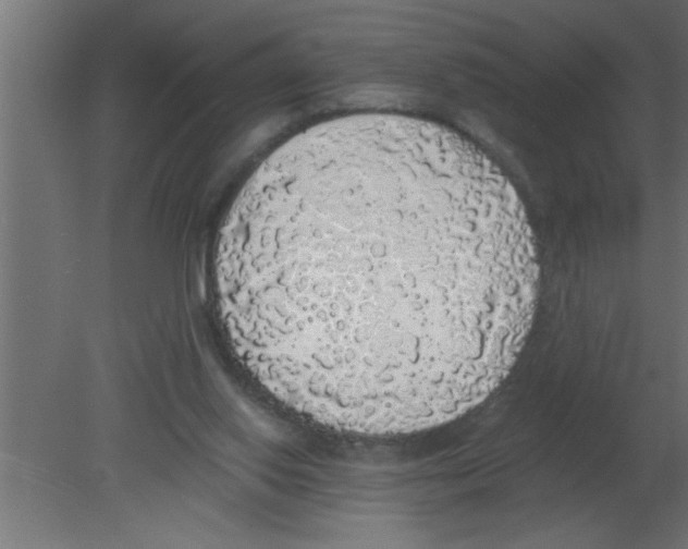 X0000080730062200701121921