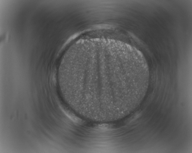 X0000080730064200701121921