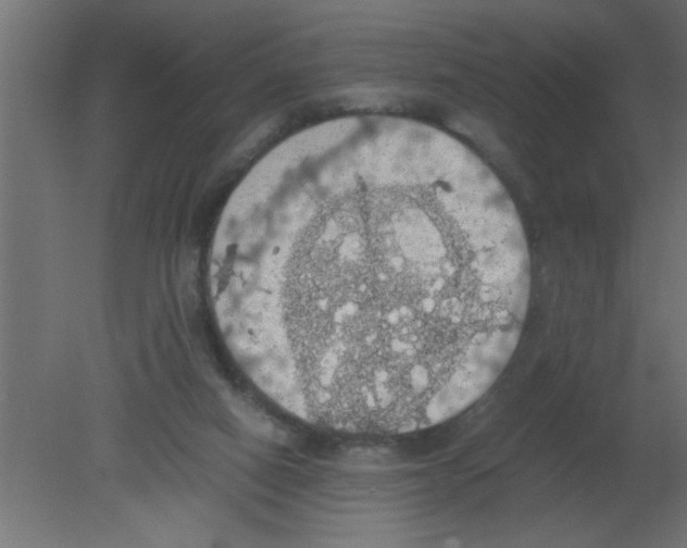 X0000080730066200701121921