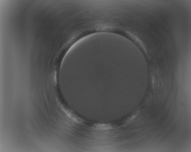 X0000080730067200701121921