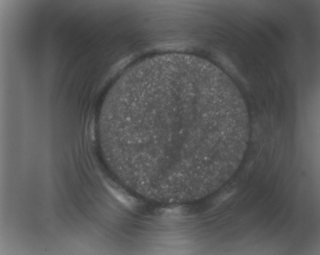 X0000080730068200701121921