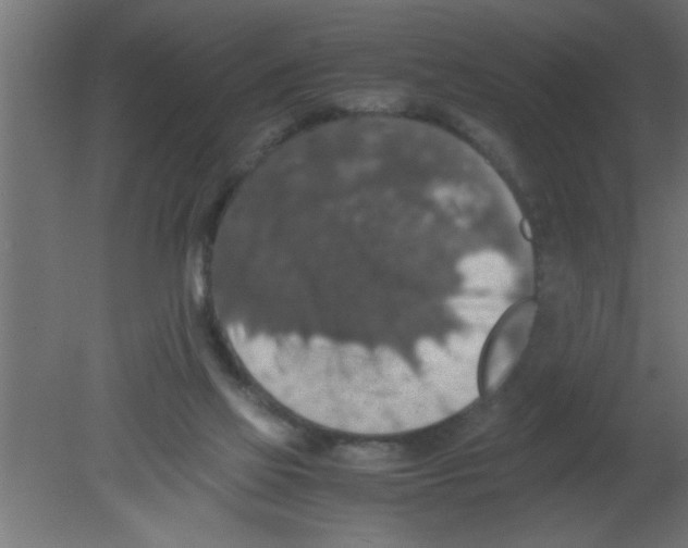 X0000080730069200701121921