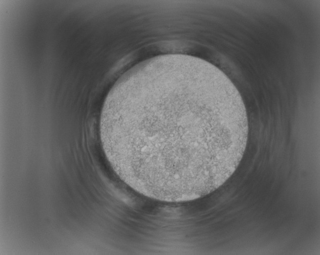 X0000080730071200701121921