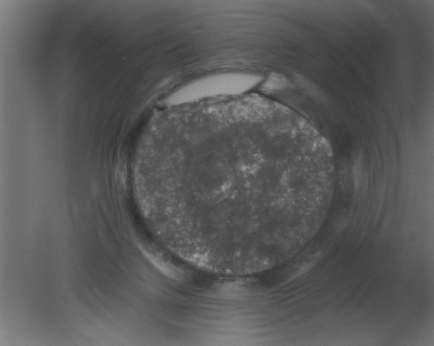 X0000080730072200701121921