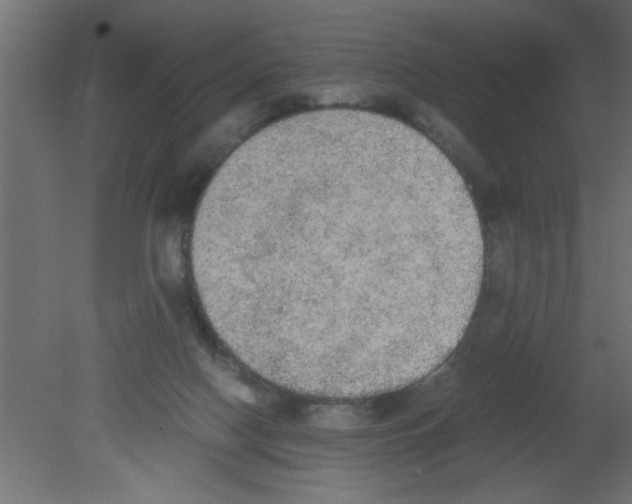 X0000080730074200701121921