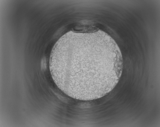 X0000080730075200701121921