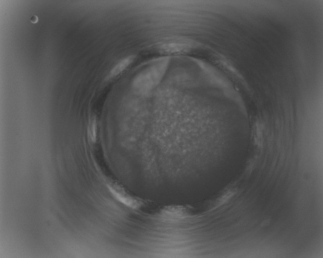 X0000080730076200701121921