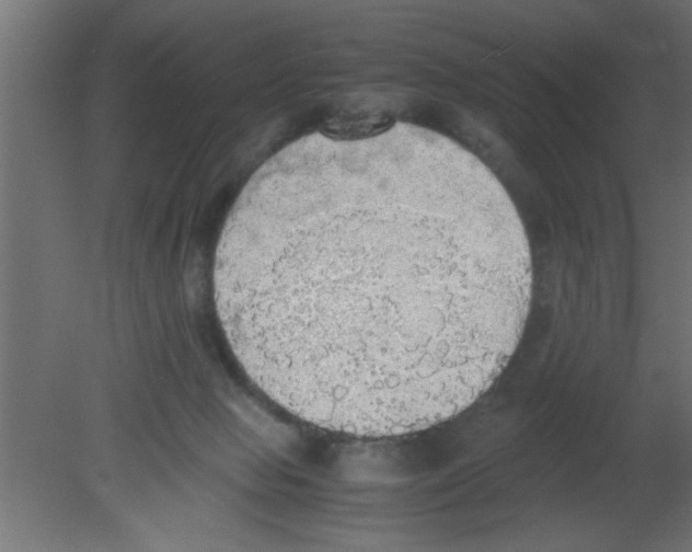 X0000080730077200701121921