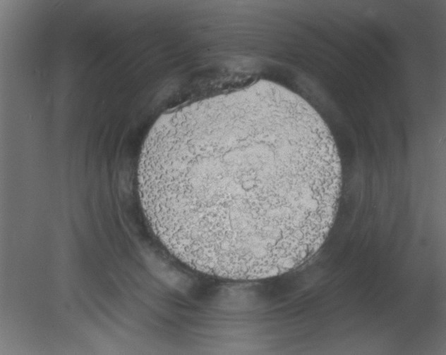 X0000080730078200701121921