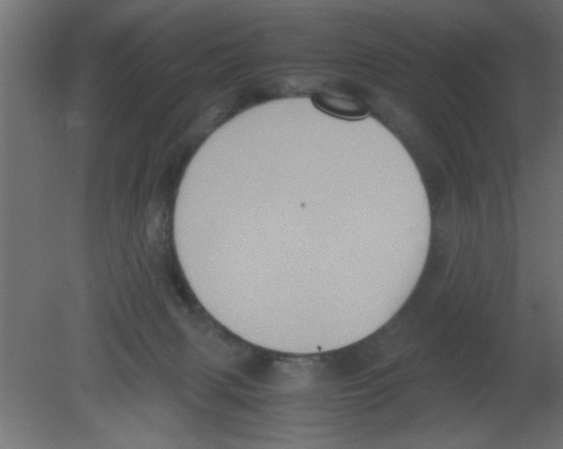 X0000080730079200701121921