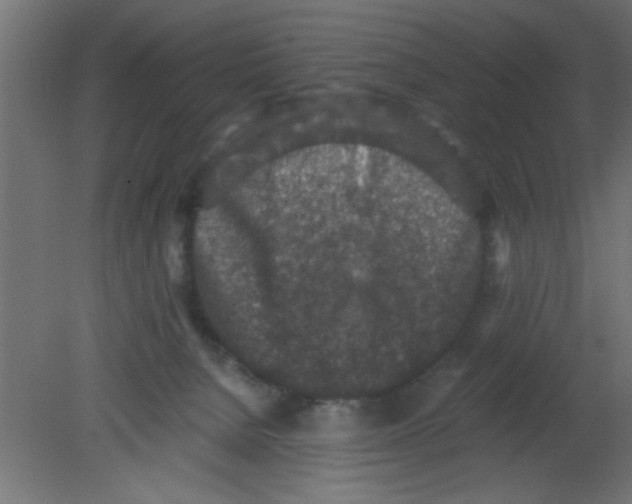 X0000080730080200701121921