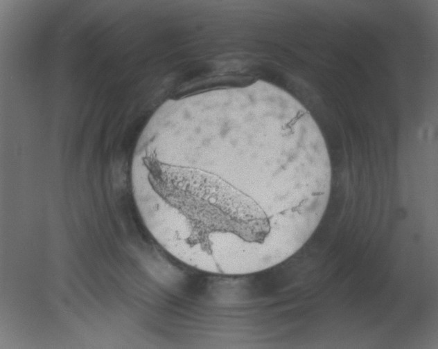 X0000080730081200701121921