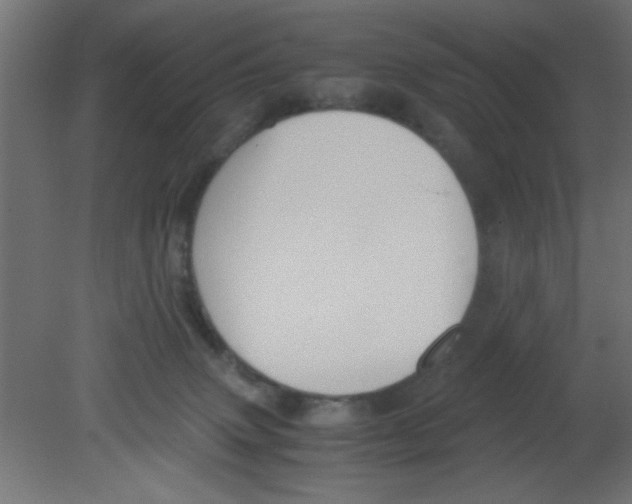 X0000080730083200701121922