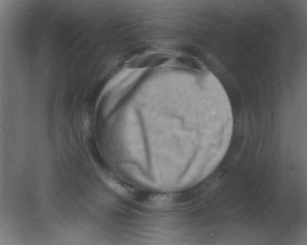 X0000080730084200701121922