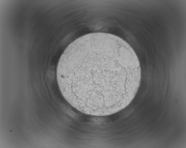 X0000080730085200701121922