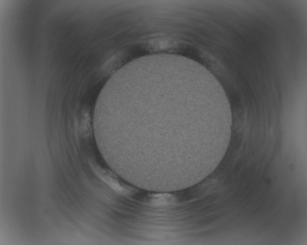 X0000080730087200701121922