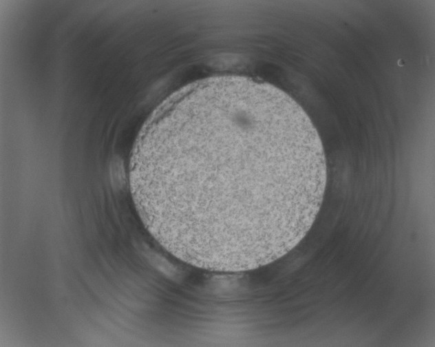 X0000080730089200701121922