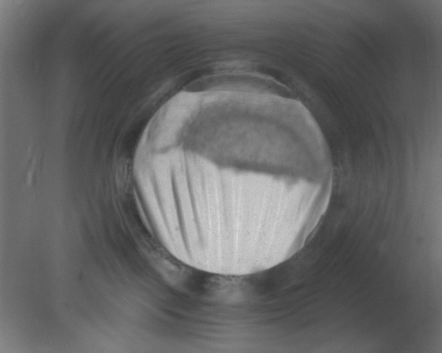 X0000080730093200701121922