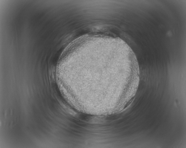 X0000080730094200701121922