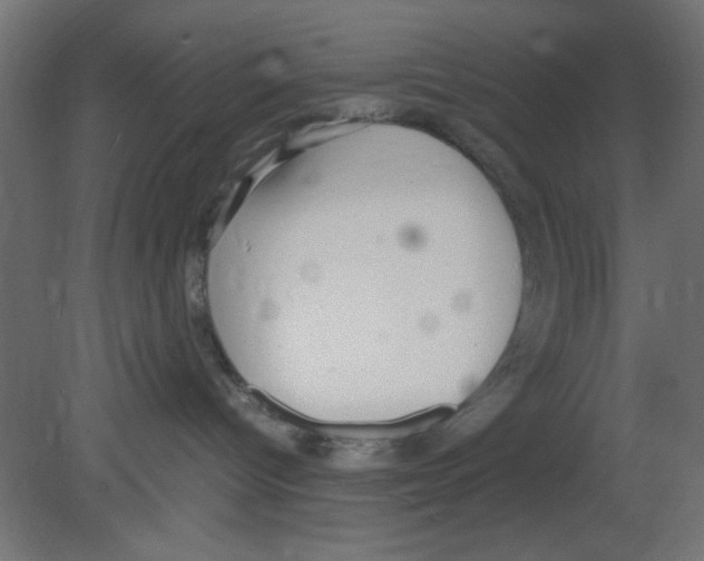 X0000080730096200701121922