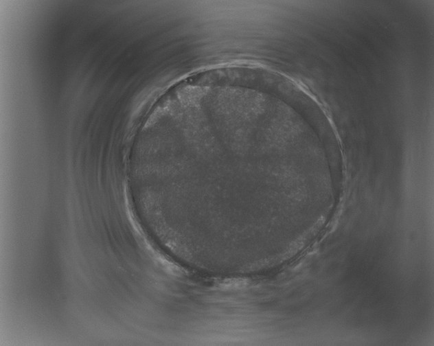 X0000080730097200701121921