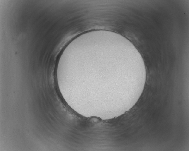 X0000080730098200701121921