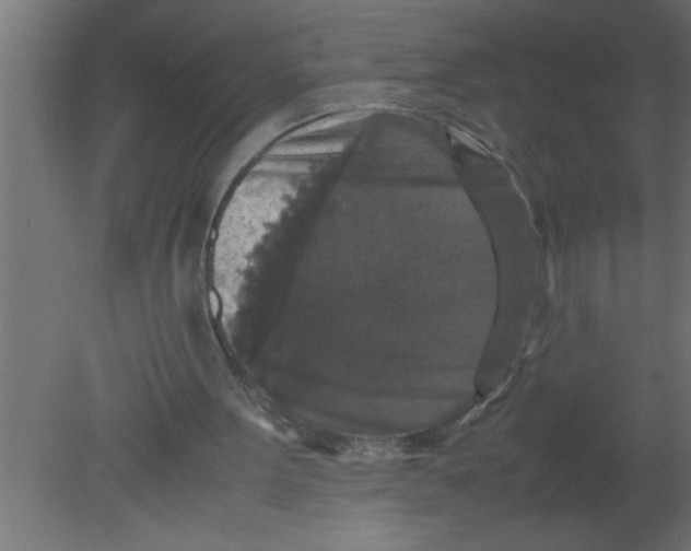 X0000080730099200701121921