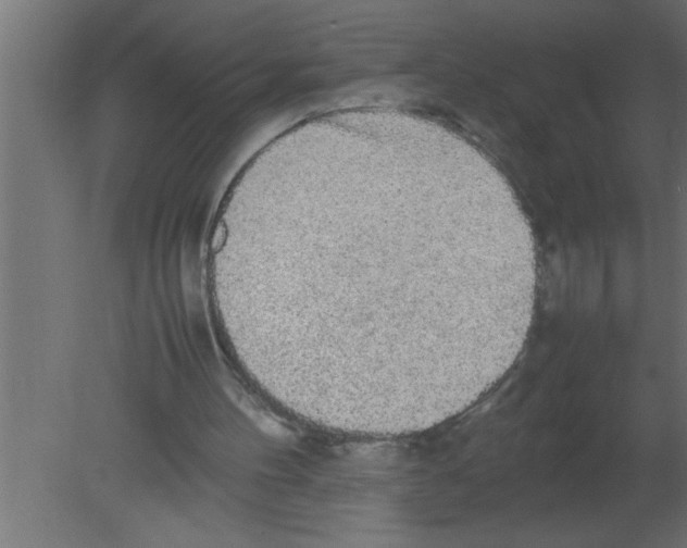 X0000080730100200701121921