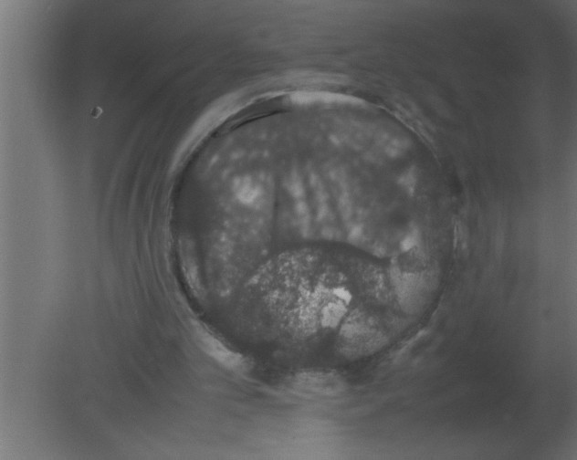 X0000080730101200701121921