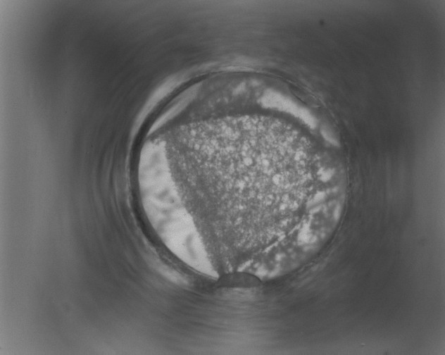 X0000080730102200701121921