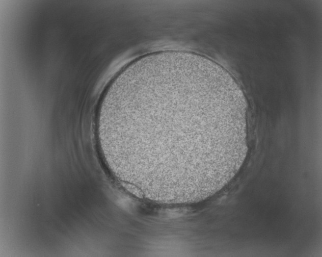 X0000080730103200701121921