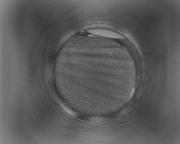 X0000080730105200701121921