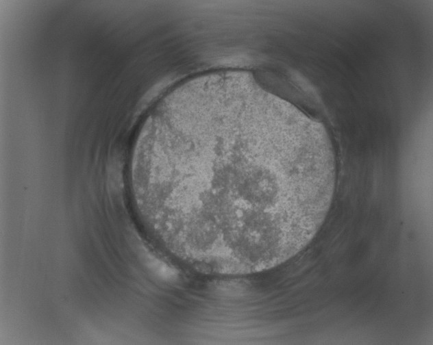 X0000080730106200701121921