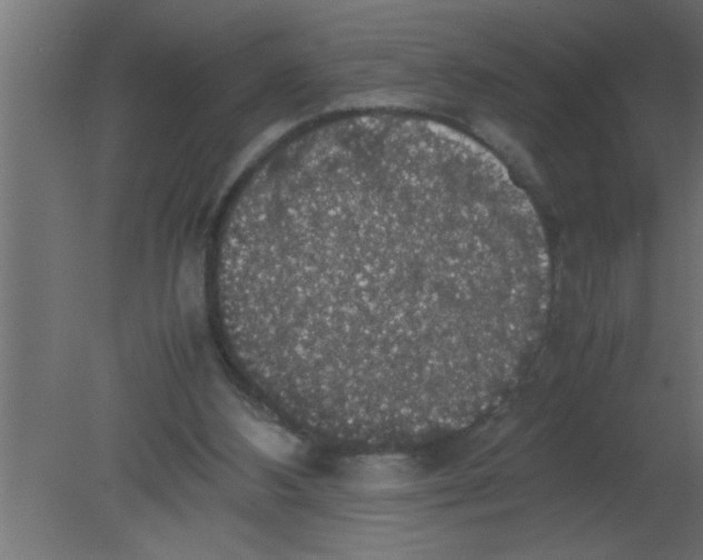 X0000080730108200701121921