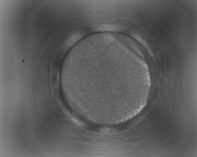 X0000080730109200701121921