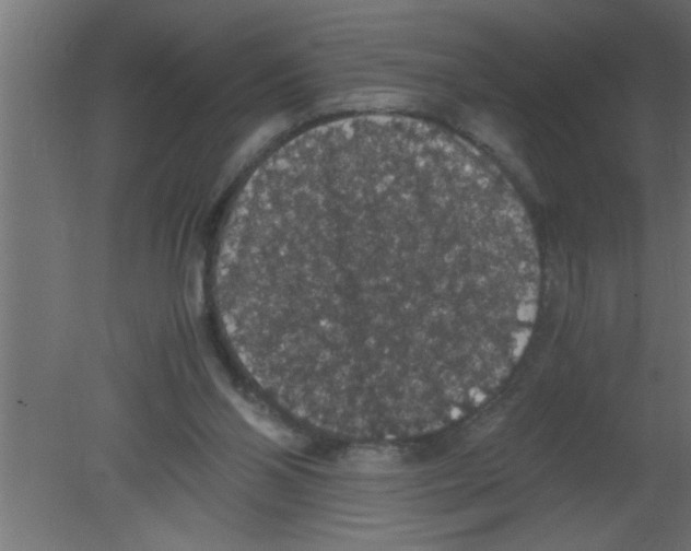 X0000080730110200701121921