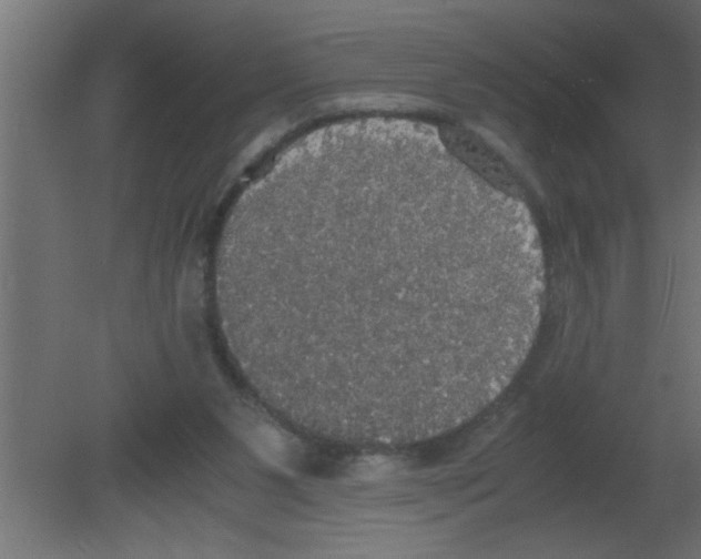 X0000080730111200701121921