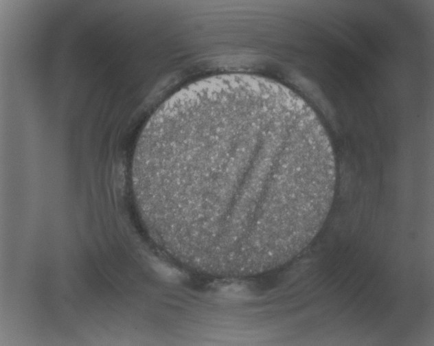 X0000080730113200701121921