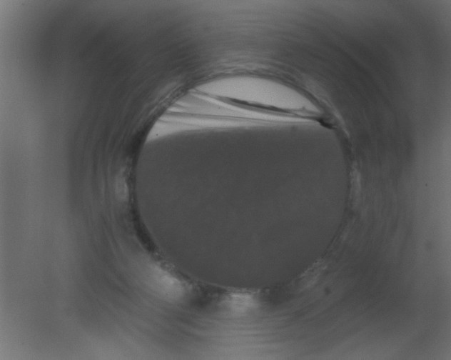 X0000080730114200701121921